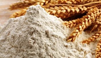 Se concretó la primera producción de harina de trigo orgánica refinada del país