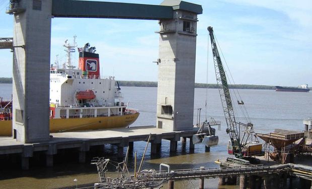 Se firmó un protocolo mediante el cual las partes acordaron las condiciones para la exportación de harina y pellets de soja de origen transgénico de Argentina a Rusia.