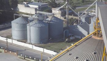 La efectiva apertura del mercado chino para la harina argentina sería en 2020