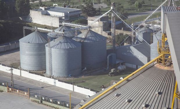 La harina de soja es el principal producto de exportación del país.