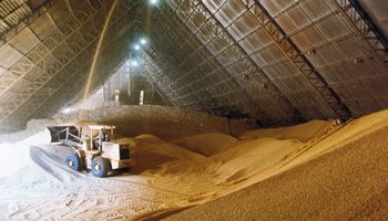 Fuerte demanda de harina de soja en Estados Unidos