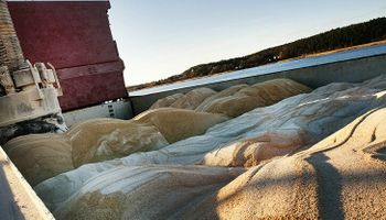 Estados Unidos: buscan mejorar la harina de soja