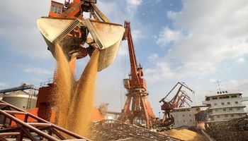 Etchevehere solicitó a Rusia que se levanten restricciones para la compra de harina de soja