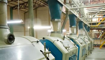 Decomisos y clausuras en el sector harinero: operativos en Córdoba y Santa Fe