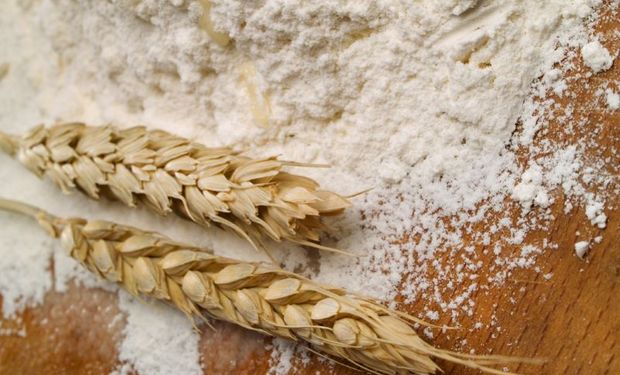 Exportación Argentina de harina de trigo 