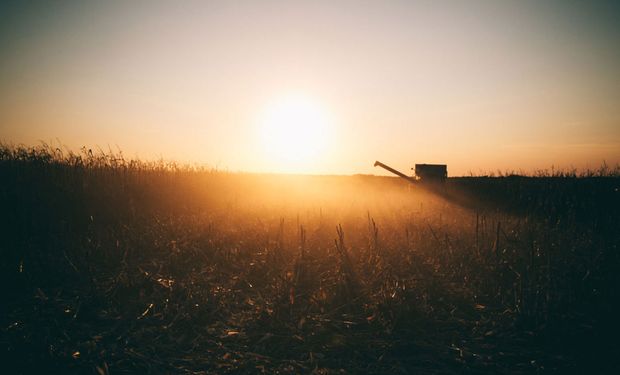 Mercado comienza a posicionarse de cara al informe del USDA.