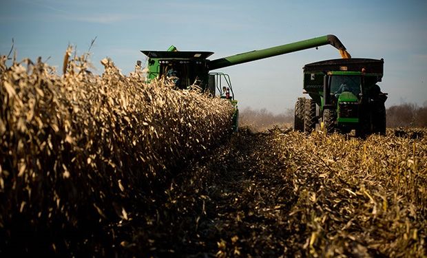 El primer impacto de los datos del USDA: mercado estable para soja y maíz y bajas para el trigo por mayores stocks.