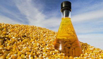 Feedstocks argentinos: la empresa que superó las 1000 toneladas en exportaciones bioenergéticas a Europa