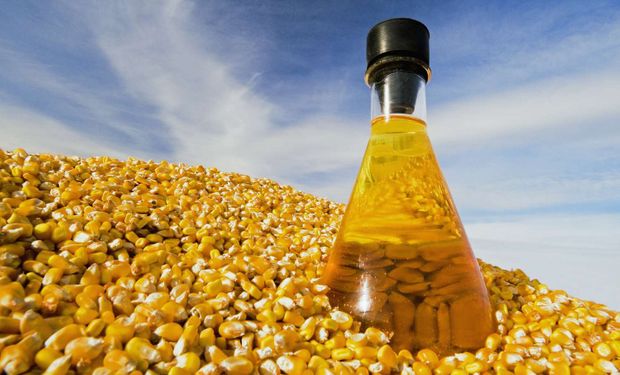 Feedstocks argentinos: la empresa que superó las 1000 toneladas en exportaciones bioenergéticas a Europa