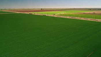 Una hectárea de campo en Argentina cotiza hasta US$ 17.000 vs. US$ 42.000 en Estados Unidos y US$ 27.500 en Brasil: "Estamos 20 años atrasados"