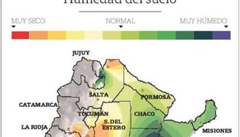 Habría 3,5 millones de hectáreas afectadas por las inundaciones