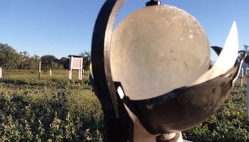 Heladas fuertes: anticipan un cambio de masa de aire para el fin de semana