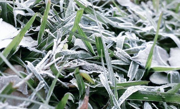 Frío en Argentina: cómo sigue la ola polar según el pronóstico del tiempo