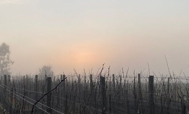 Heladas El Pronostico Del Tiempo Anticipa La Llegada De Aire Muy Frio Agrofy News