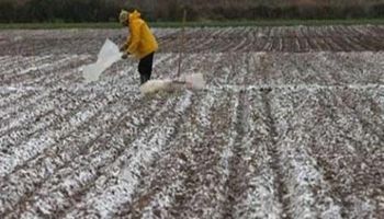Preocupan las heladas y la escasez de lluvias en el norte de Santa Fe