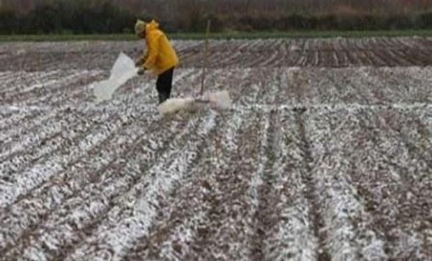 Preocupan las heladas y la escasez de lluvias en el norte de Santa Fe