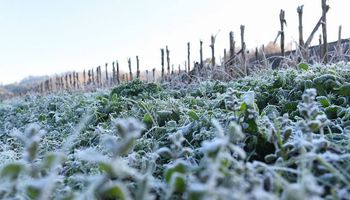 Mayo terminará sin lluvias: qué dice el pronóstico del tiempo sobre las heladas en el campo