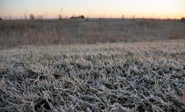 Tras las lluvias, regresa el frío intenso que alcanzará su apogeo a mitad de semana