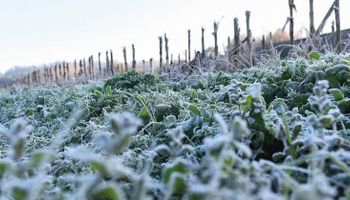 El frío se instala hacia el 25 de mayo con la llegada de aire polar