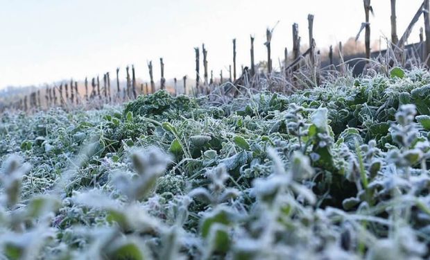 El frío se instala hacia el 25 de mayo con la llegada de aire polar