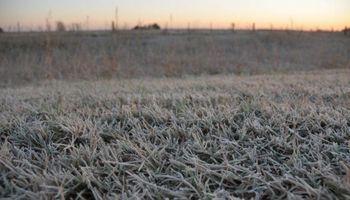 Heladas en la región pampeana: el pronóstico anticipa un invierno corto