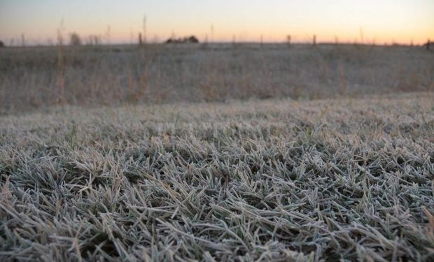 Heladas en la región pampeana: el pronóstico anticipa un invierno corto