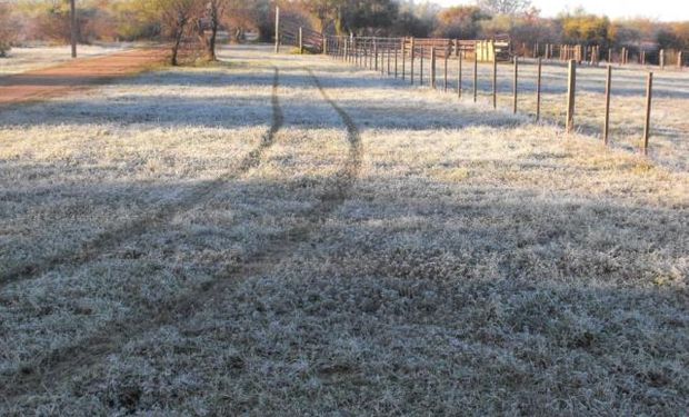 Afianzamiento del aire frío: heladas rigurosas en Córdoba, con mínimas de -4 °C