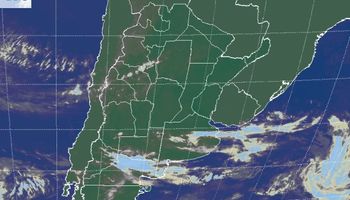 Las heladas se retiraron incluso en las zonas más frías del sur