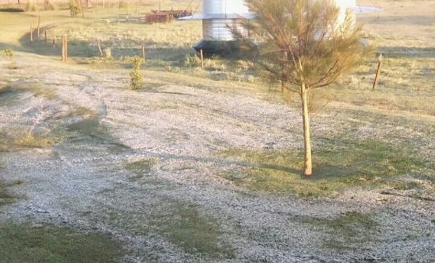 Fuerte helada en la zona núcleo cerealera.