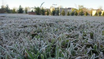 Las heladas regresan en el amanecer del domingo