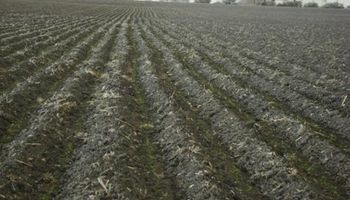 Mañana se prevén heladas intensas sobre la mayor parte de las regiones productivas