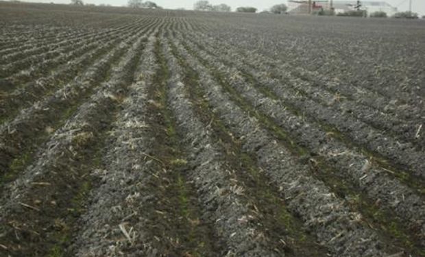 Mañana se prevén heladas intensas sobre la mayor parte de las regiones productivas