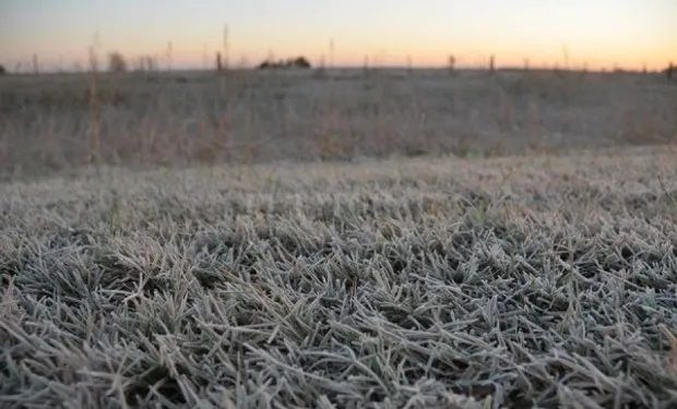 El pronóstico para el agro:  llega aire de origen polar y habrá heladas en gran parte de la región pampeana 