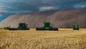 Un mundo que se calienta: cómo impacta el cambio climático en el agro argentino