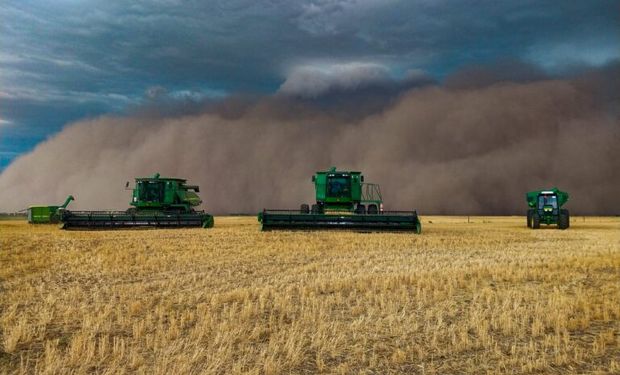 La historia detrás de una de las fotos más virales del campo argentino