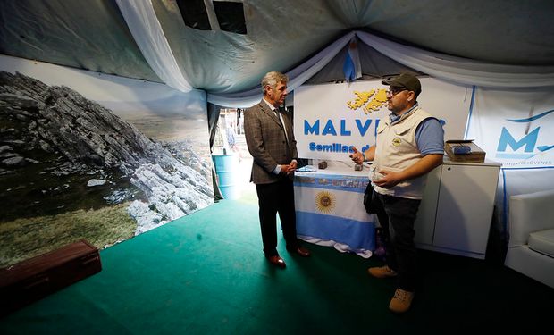 Héroes en Expo Rural: los relatos y experiencias que los ex combatientes de Malvinas buscan transmitir a los jóvenes del campo