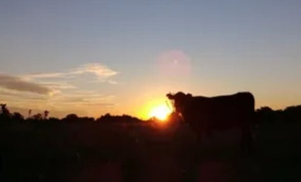 ¿Alcanza la humedad de los suelos? Día por día, qué dice el pronóstico del tiempo para el agro