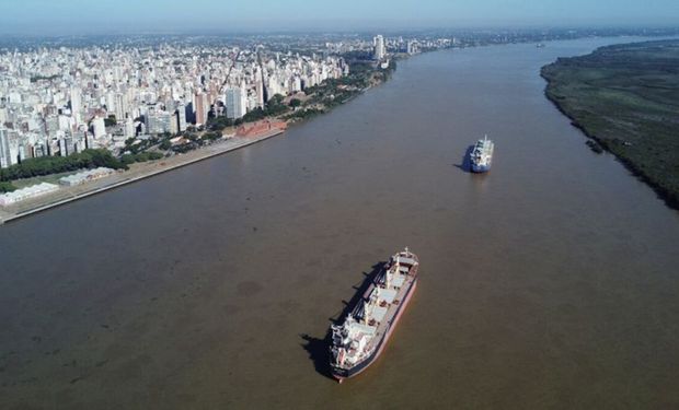 Cayó un 84 % el ingreso de dólares por la agroexportación: el motivo detrás del desplome