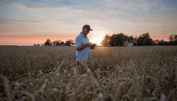 Syngenta presentó una plataforma que digitaliza la compra de insumos agrícolas en Argentina 