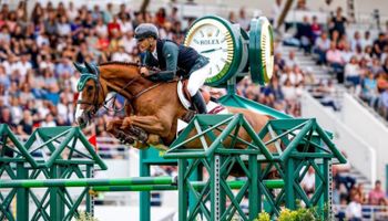 Exame, visto, viagem separada: como os cavalos do Brasil vão para as Olimpíadas?