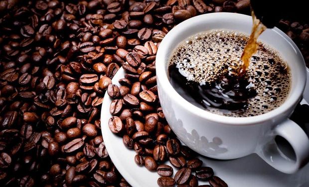 Cotações do café arábica e conilon têm patamares de preços entre os mais baixos desde maio de 2021. (foto - ilustração)