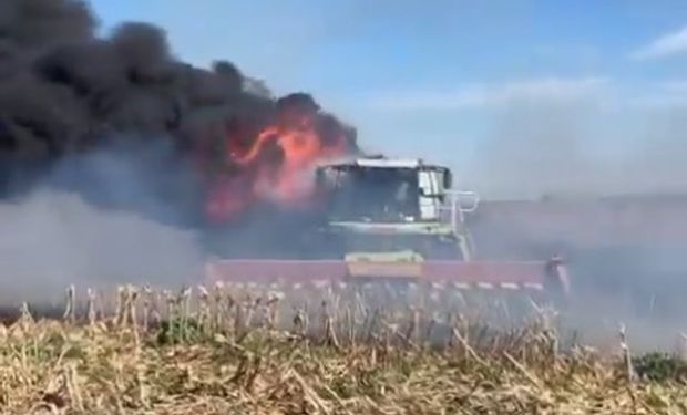 "Es muy triste": el impactante video del incendio que arrasó con una máquina de US$ 200.000 sobre el final de la cosecha de maíz