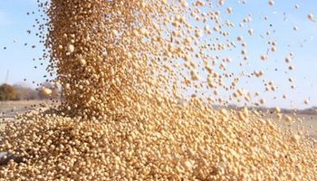 Mercado de Chicago: reportan una suba de los stocks de soja y recortes en los de maíz y trigo