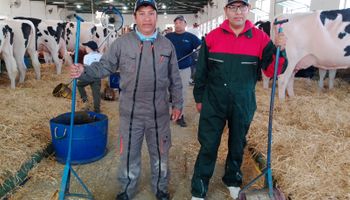 La experiencia de dos productores peruanos en la lechería argentina: qué les sorprende y cómo se produce en Perú