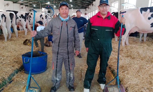 La experiencia de dos productores peruanos en la lechería argentina: qué les sorprende y cómo se produce en Perú