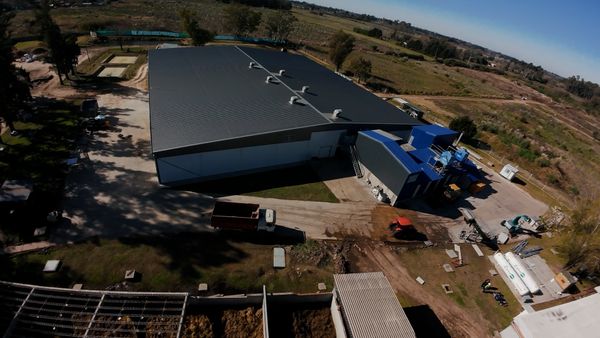 fabrica de hongos del pilar