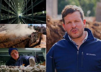 Pioneros: producen 180 toneladas de hongos por mes, abastecen al 50% del mercado y cuentan los secretos de un cultivo con un enorme potencial