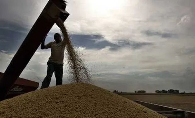 AFIP vs. productores: secuestran más de 500 toneladas de granos y analizan irregularidades en acopios