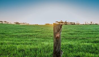 Sin lluvias en el horizonte