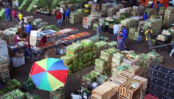 Hortaliças fortaleceram VBP do agro em 2022